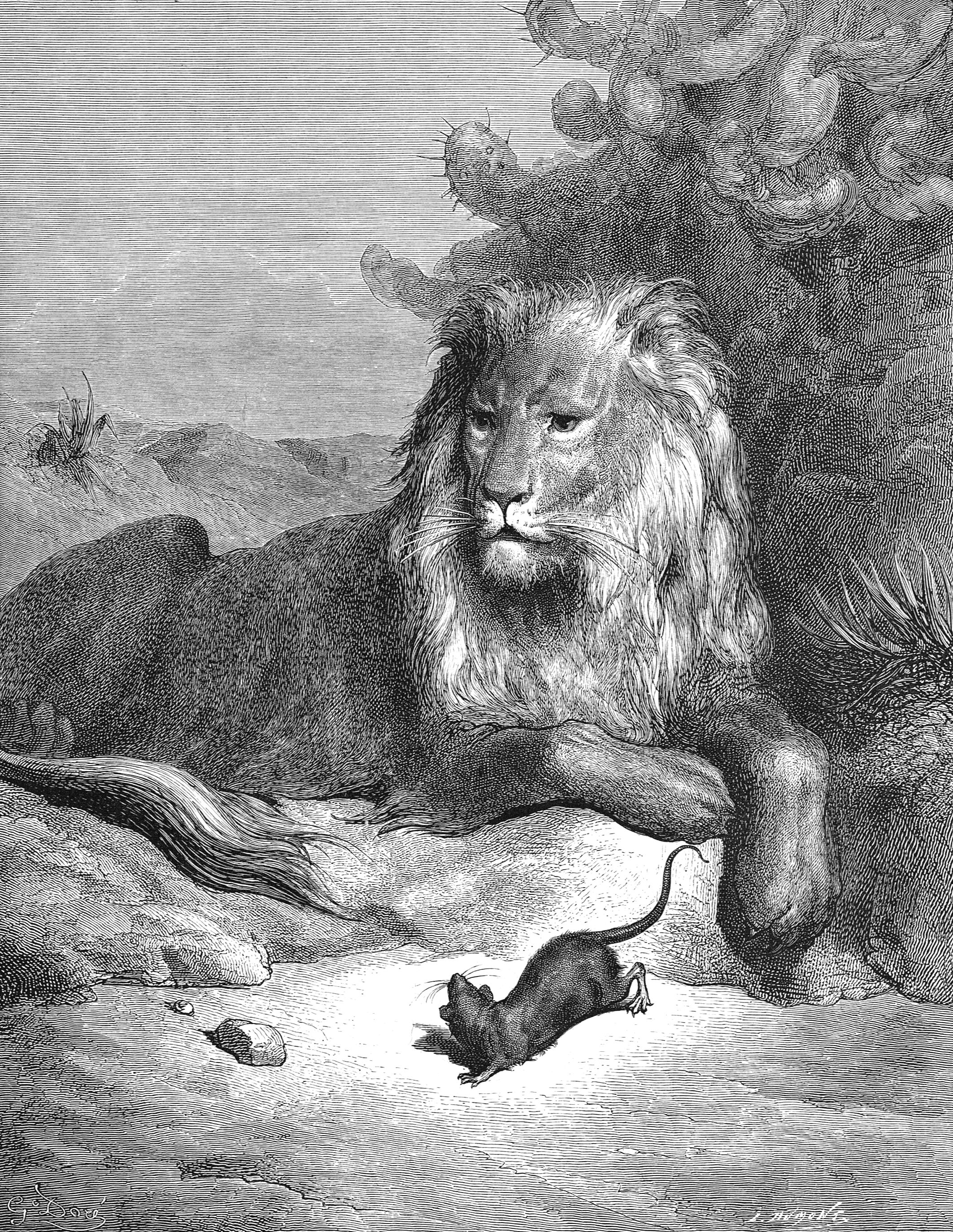 32db8d13af9605efe37bd14631a483bc