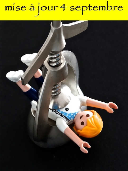 Cette image a un attribut alt vide ; le nom du fichier est playmobil-442954_960_720-4-sept.jpg